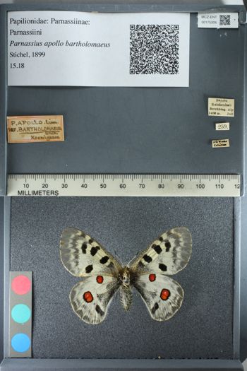 Media type: image;   Entomology 175306
